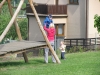 images_011