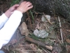 images_010
