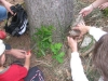 images_011