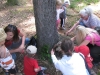 images_012