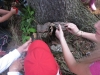 images_013