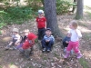 images_014