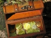 images_016