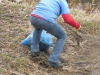 images_003