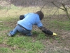 images_004