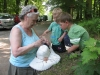images_034