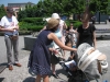 images_045