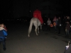 images_004
