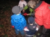 images_010