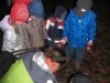 images_011